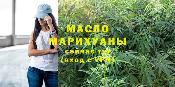 гашик Бикин