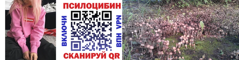 нарко площадка формула  Екатеринбург  Псилоцибиновые грибы Magic Shrooms 